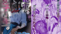 d 613371pl