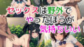 d 613591pl