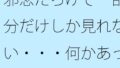 d 624593pl