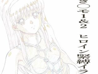 とき〇モ1&2 ヒロイン緊縛イラストらふ原画集【無料試聴】 23 d 625253pl