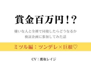 d 625334pl