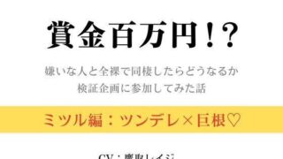 d 625334pl