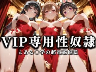 裏カジノのVIP専用性奴●──チャイナドレスで快楽提供。とある〇学の超電磁砲篇【無料試聴】 34 d 628691pl