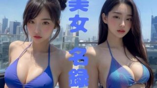 d 629483pl