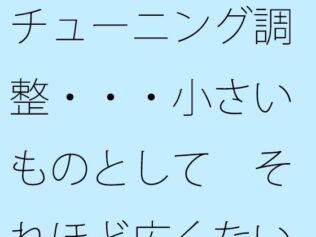 チューニング調整・・・小さいものとして それほど広くない木箱の中での周波数エンタ【無料試聴】 29 d 631048pl