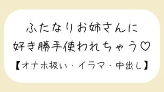 d 632517pl