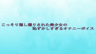 d 633027pl