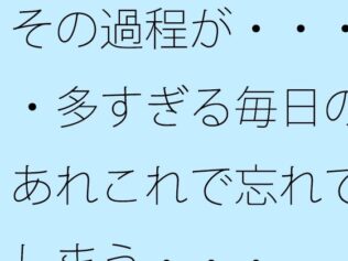その過程が・・・・多すぎる毎日のあれこれで忘れてしまう・・・【無料試聴】 32 d 634376pl