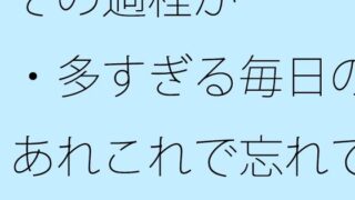 d 634376pl