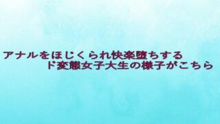 d 635034pl