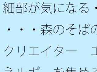 細部が気になる・・・・森のそばのクリエイター エネルギーを集める工夫【無料試聴】 16 d 635576pl