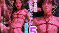 d 636047pl