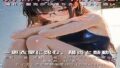 d 636392pl