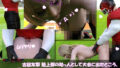 d 636620pl