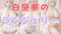 d 637607pl
