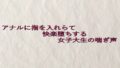 d 637894pl