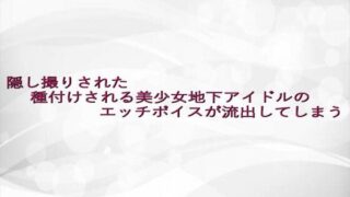 d 638465pl