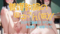 d 639488pl