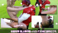d 639529pl