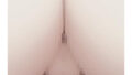 d 642260pl