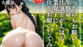 d 529125pl