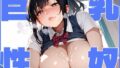 d 559958pl