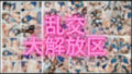 d 560688pl