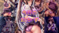 d 566811pl