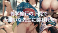 d 575296pl