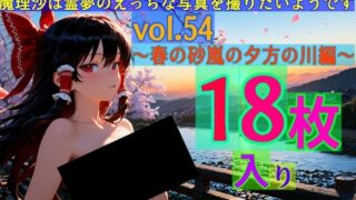 d 578207pl