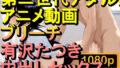 d 597847pl