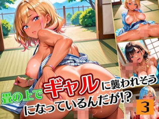 畳の上でギャルに襲われそうになってるんだが!?3【厳選CG190枚収録】【無料試聴】 33 d 598580pl