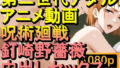 d 599426pl