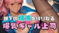 d 602517pl
