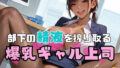 d 602520pl