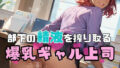 d 602528pl