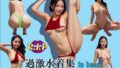 d 604613pl