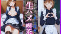 d 608061pl