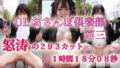 d 610528pl