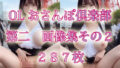 d 611161pl