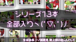 d 613145pl
