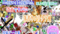 d 613197pl