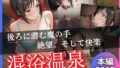 d 615067pl