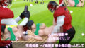 d 619241pl