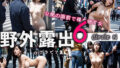 d 633244pl