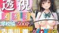 d 641288pl