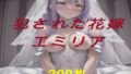 d 641341pl