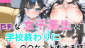d 642382pl