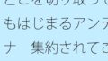 d 643558pl
