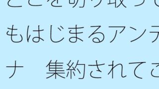 d 643558pl
